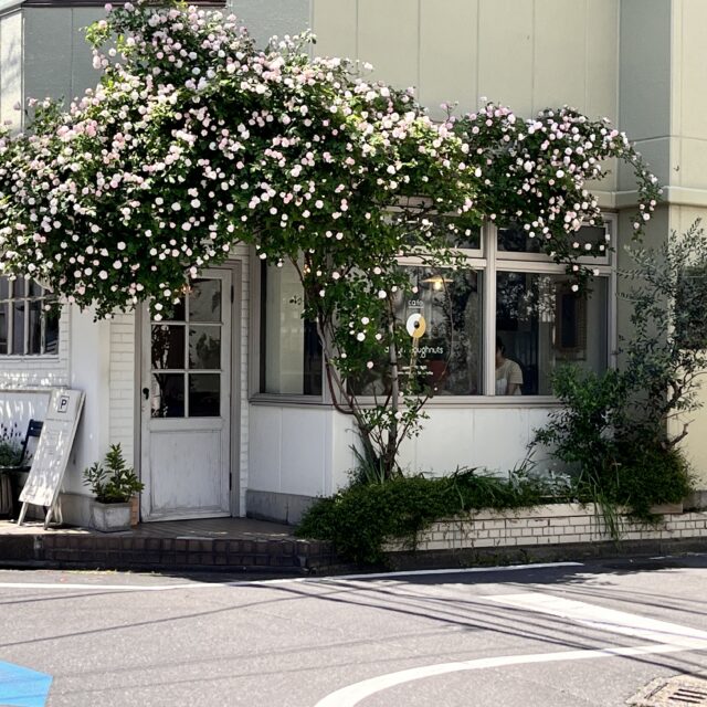 di012 Doughnut shop and Cafe 1