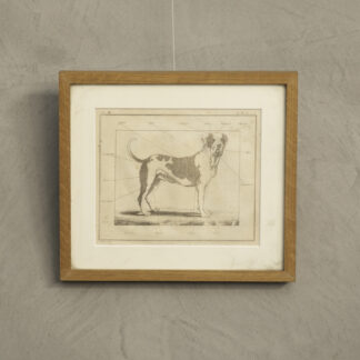 アンティーク 銅版画